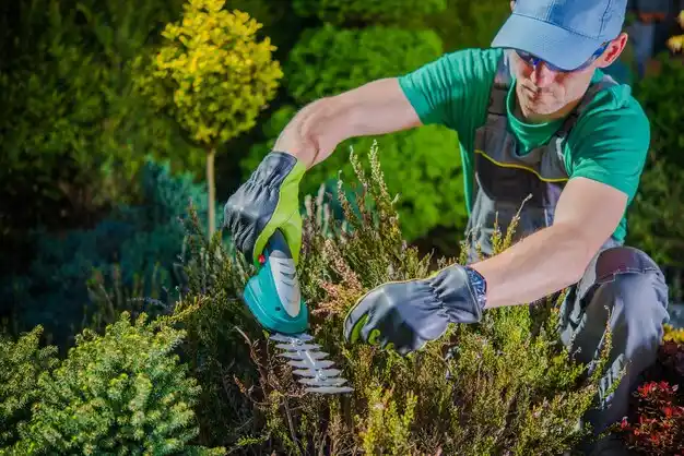 landscaping services Proctorville